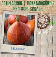 Potimaron - afbeelding 2