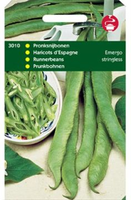 Pronkboon emergo stringless 100g - afbeelding 4