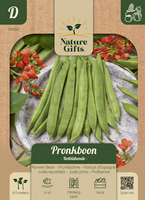 Pronkboon roodbloeiende 6st