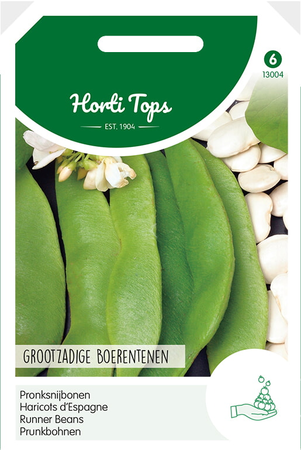 Pronksnijboon grootz. 100g - afbeelding 1