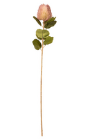 Proteasteel l57cm oud roze