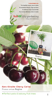 Prunus av. Regina patiofruit vp5