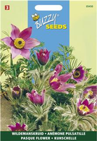 Pulsatilla anemone vulgaris 0.1gram - afbeelding 3