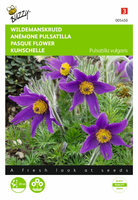 Pulsatilla anemone vulgaris 0.1gram - afbeelding 1