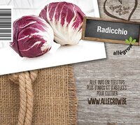 Radicchio - afbeelding 2