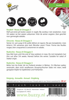 Radicchio rosso di chioggia 3g - afbeelding 2