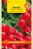 Radijs annabel f1 hybride 500zd - afbeelding 3