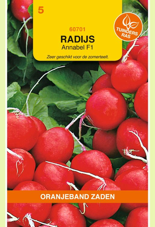 Radijs annabel f1 hybride 500zd - afbeelding 1