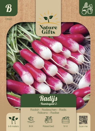 Radijs flamboyant 2 per 7m