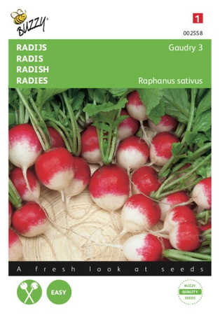Radijs gaudry 3 rond rood 10g - afbeelding 1