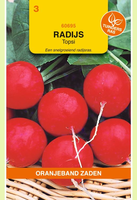 Radijs topsi 10g - afbeelding 1