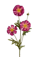 Ranonkel butterflysteell70cm cerise