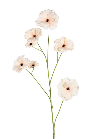 Ranonkel butterflystl l105cm beige