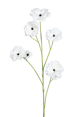 Ranonkel butterflystl l105cm wit