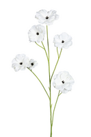 Ranonkel butterflystl l105cm wit