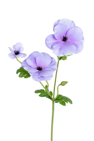 Ranonkel butterflystl l60cm lila