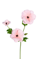 Ranonkel butterflystl l60cm roze