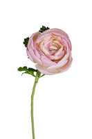 Ranonkel l62cm licht roze