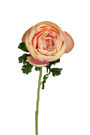 Ranonkel l62cm zalmroze