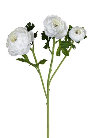 Ranonkel x3 l70cm wit