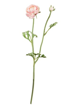 Ranonkelsteel l35cm roze