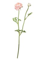 Ranonkelsteel l35cm roze