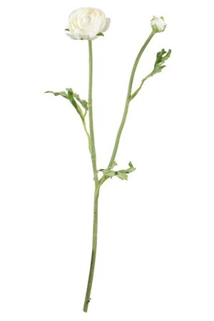 Ranonkelsteel l35cm wit