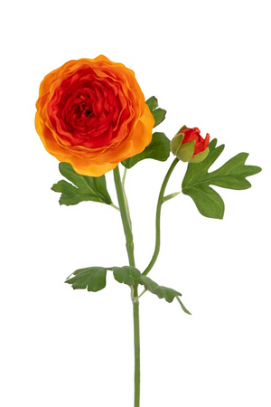 Ranonkelsteel l53cm oranje