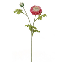 Ranonkelsteel l58cm cerise