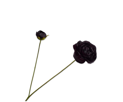 Ranonkelsteel l63cm bordeaux