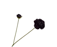 Ranonkelsteel l63cm bordeaux