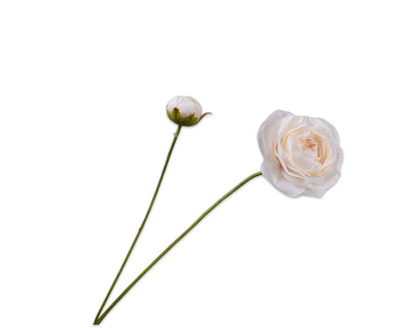 Ranonkelsteel l63cm creme