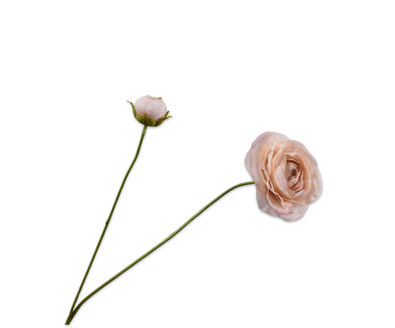 Ranonkelsteel l63cm lichtbruin