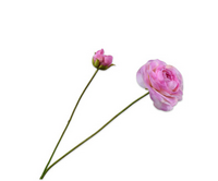 Ranonkelsteel l63cm roze