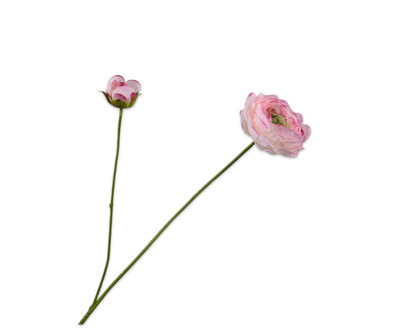 Ranonkelsteel l64cm creme/roze