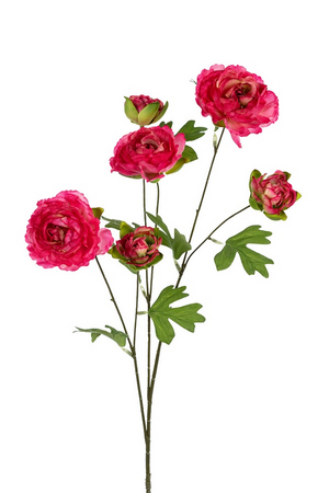 Ranonkelsteel l77cm cerise