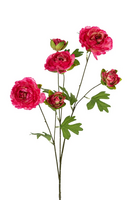 Ranonkelsteel l77cm cerise