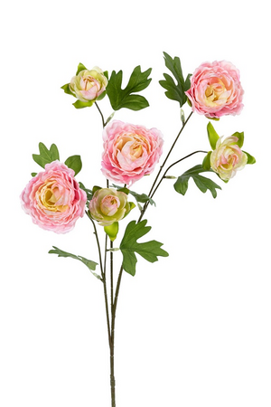 Ranonkelsteel l77cm roze