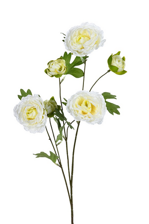 Ranonkelsteel l77cm wit