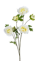 Ranonkelsteel l77cm wit