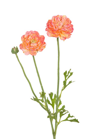 Ranonkelsteel x3 l53cm zalm