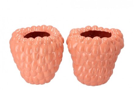 Raspberry vase old pink 30x30cm per stuk