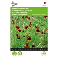 Ratibida columnifera 0.008g