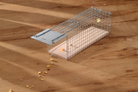 Rattenkooi draadmodel - afbeelding 2