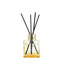Reed diff.100ml cube legend