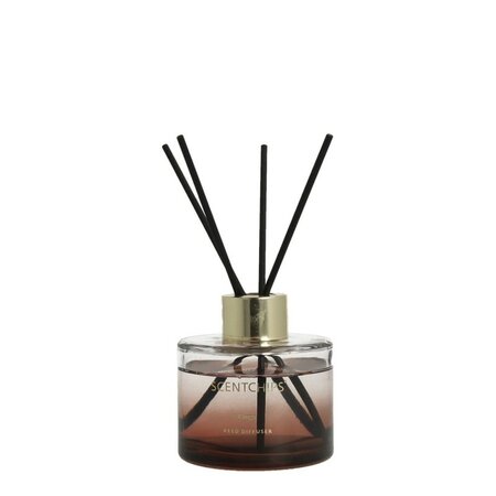 Reed diff.100ml cylinder kings