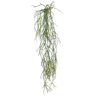 Rhipsalis hanger l60cm groen hanger (Zijde-plant)