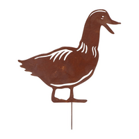 Roest tuinsteker eend