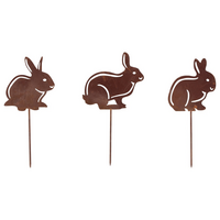 Roest tuinsteker haasje ass.