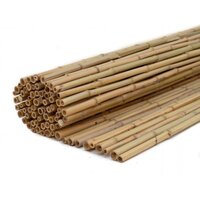 Rolscherm bamboe dalian l180b180cm